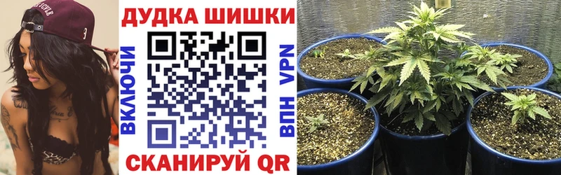 A PVP Агидель