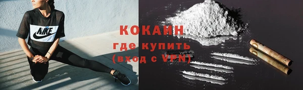 ГАЛЛЮЦИНОГЕННЫЕ ГРИБЫ Переславль-Залесский